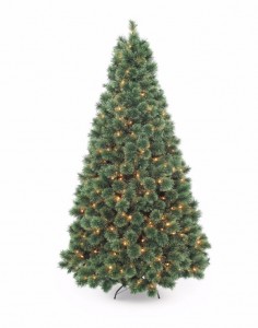 Sears Christmas Trees